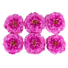 Головка пиона, темно-сиреневая, 17 см, изображение 2 ᐒ купить на  ❤ Like7km.com.ua