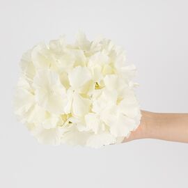 Головка гортензии, белая, 20 см, изображение 4 ᐒ купить на  ❤ Like7km.com.ua