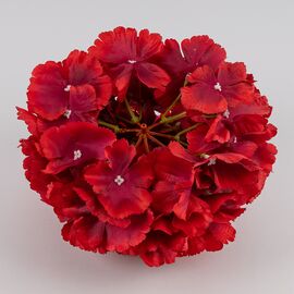 Головка гортензии, красная, 20 см, изображение 3 ᐒ купить на  ❤ Like7km.com.ua