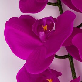 Искусственная орхидея, фиолетовая, 95 см, изображение 3 ᐒ купить на  ❤ Like7km.com.ua