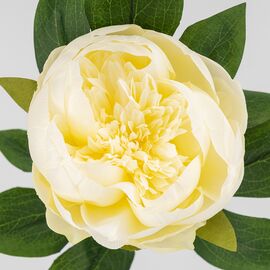 Искусственный пион, кремовый, 70 см, изображение 3 ᐒ купить на  ❤ Like7km.com.ua