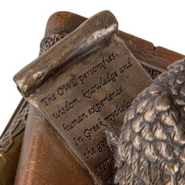 Шкатулка "Мудрая сова" (11 см) VERONESE, изображение 5 ᐒ купить на  ❤ Like7km.com.ua