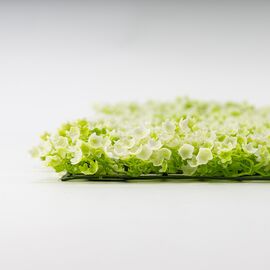 Искусственный фитомодуль "Самшит белый", 60*41 см СПАСЕННАЯ ПОЗИЦИЯ, изображение 4 ᐒ купить на  ❤ Like7km.com.ua