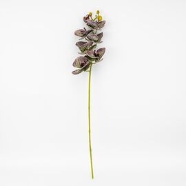 Латексная орхидея, зелено-бордовая, 76 см СПАСЕННАЯ ПОЗИЦИЯ, изображение 4 ᐒ купить на  ❤ Like7km.com.ua