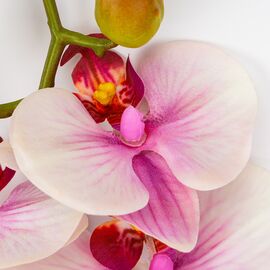 Латексная орхидея, бело-розовая, 86 см СПАСЕННАЯ ПОЗИЦИЯ, изображение 3 ᐒ купить на  ❤ Like7km.com.ua