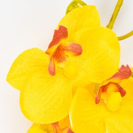 Латексная орхидея, желтая, 72 см СПАСЕННАЯ ПОЗИЦИЯ, изображение 3 ᐒ купить на  ❤ Like7km.com.ua