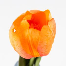 Искусственный тюльпан с эффектом живого прикосновения, оранжевый, 45 см, изображение 3 ᐒ купить на  ❤ Like7km.com.ua