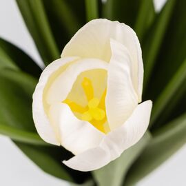 Букет тюльпанов с эффектом живого прикосновения, 9 бутонов, белый, 45 см, изображение 2 ᐒ купить на  ❤ Like7km.com.ua