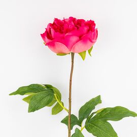 Искусственный пион с эффектом живого прикосновения, кремово-розовый, 60 см, изображение 3 ᐒ купить на  ❤ Like7km.com.ua