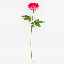 Искусственный пион с эффектом живого прикосновения, кремово-розовый, 60 см, изображение 4 ᐒ купить на  ❤ Like7km.com.ua