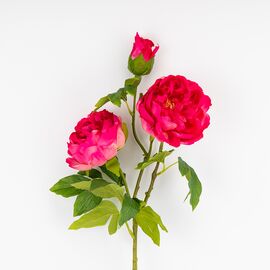 Искусственный пион с 3 бутонами с эффектом живого прикосновения, кремово-розовый, 80 см, изображение 2 ᐒ купить на  ❤ Like7km.com.ua