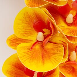 Искусственная орхидея, оранжевая, 57 см, изображение 4 ᐒ купить на  ❤ Like7km.com.ua