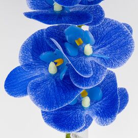 Искусственная орхидея, синяя, 57 см, изображение 4 ᐒ купить на  ❤ Like7km.com.ua