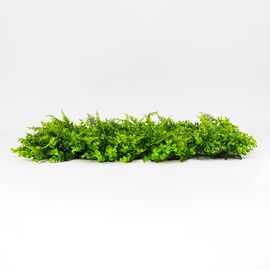 Фитомодуль искусственный "Самшит и папоротник", 40*60 cм, изображение 3 ᐒ купить на  ❤ Like7km.com.ua