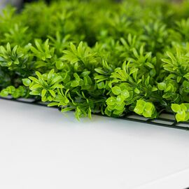 Фитомодуль искусственный "Травка", 40*60 cм, изображение 4 ᐒ купить на  ❤ Like7km.com.ua