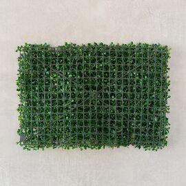 Фитомодуль искусственный "Самшит", 40*60 cм, изображение 3 ᐒ купить на  ❤ Like7km.com.ua