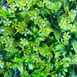 Фитомодуль искусственный "Травка", 40*60 cм, изображение 5 ᐒ купить на  ❤ Like7km.com.ua