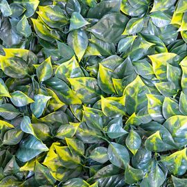 Фитомодуль искусственный "Тропическая лиана", 40*60 cм, изображение 5 ᐒ купить на  ❤ Like7km.com.ua