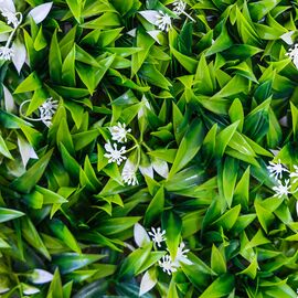 Фитомодуль искусственный "Белое цветение", 40*60 cм, изображение 5 ᐒ купить на  ❤ Like7km.com.ua