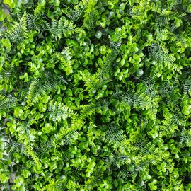 Фитомодуль искусственный "Самшит и папоротник", 50*50 cм, изображение 3 ᐒ купить на  ❤ Like7km.com.ua