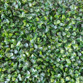 Фитомодуль искусственный "Самшит", 50*50 cм, изображение 5 ᐒ купить на  ❤ Like7km.com.ua