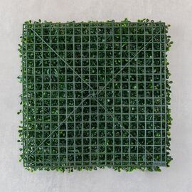 Фитомодуль искусственный "Самшит", 50*50 cм, изображение 6 ᐒ купить на  ❤ Like7km.com.ua