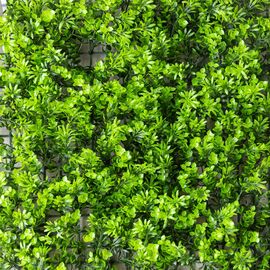 Фитомодуль искусственный "Травка", 50*50 cм, изображение 3 ᐒ купить на  ❤ Like7km.com.ua