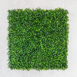 Фитомодуль искусственный "Самшит", 50*50 cм, изображение 2 ᐒ купить на  ❤ Like7km.com.ua