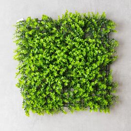 Фитомодуль искусственный "Самшит", 50*50 cм, изображение 2 ᐒ купить на  ❤ Like7km.com.ua