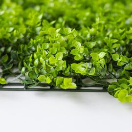 Фитомодуль искусственный "Самшит", 50*50 cм, изображение 4 ᐒ купить на  ❤ Like7km.com.ua