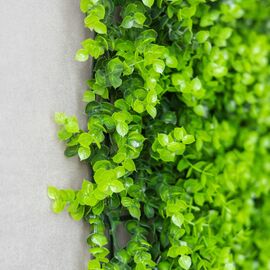 Фитомодуль искусственный "Самшит", 50*50 cм, изображение 5 ᐒ купить на  ❤ Like7km.com.ua