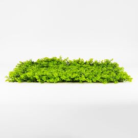 Фитомодуль искусственный "Травка", 50*50 cм, изображение 3 ᐒ купить на  ❤ Like7km.com.ua