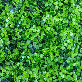 Фитомодуль искусственный "Травка", 50*50 cм, изображение 5 ᐒ купить на  ❤ Like7km.com.ua