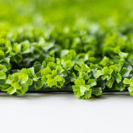 Фитомодуль искусственный "Травка", 50*50 cм, изображение 4 ᐒ купить на  ❤ Like7km.com.ua