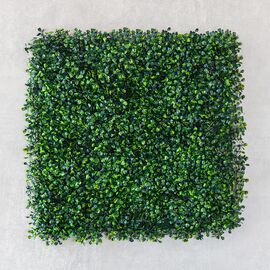 Фитомодуль искусственный "Самшит", 50*50 cм, изображение 2 ᐒ купить на  ❤ Like7km.com.ua