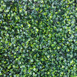 Фитомодуль искусственный "Самшит", 50*50 cм, изображение 5 ᐒ купить на  ❤ Like7km.com.ua