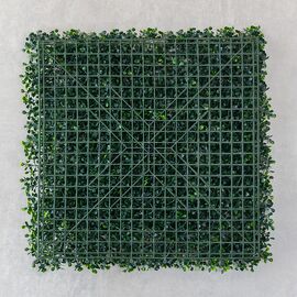 Фитомодуль искусственный "Самшит", 50*50 cм, изображение 6 ᐒ купить на  ❤ Like7km.com.ua