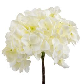 Гортензия "Анисия", кремовая, 42 см, изображение 2 ᐒ купить на  ❤ Like7km.com.ua