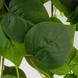 Искусственная свисающая ветка "Лиана", зеленая, 110 см, изображение 5 ᐒ купить на  ❤ Like7km.com.ua