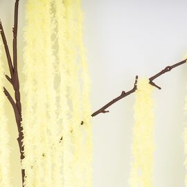 Искусственная свисающая ветка "Амарант", кремовая, 120 см, изображение 3 ᐒ купить на  ❤ Like7km.com.ua