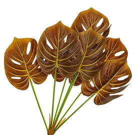 Ветвь монстеры желто-коричневая искусственная, изображение 2 ᐒ купить на  ❤ Like7km.com.ua