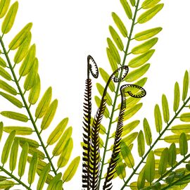 Ветвь папоротника зелёно-желтая искусственная, изображение 2 ᐒ купить на  ❤ Like7km.com.ua