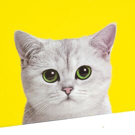 Набор коробок "Кошкин дом" 3шт, изображение 4 ᐒ купить на  ❤ Like7km.com.ua