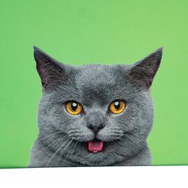 Набор коробок "Умиротворение" 3 шт, изображение 3 ᐒ купить на  ❤ Like7km.com.ua