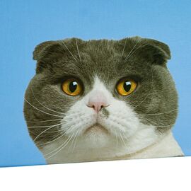 Набор коробок "Умиротворение" 3 шт, изображение 4 ᐒ купить на  ❤ Like7km.com.ua