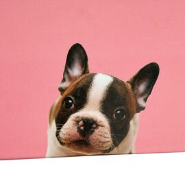 Набор коробок "Друг детства" 3 шт, изображение 3 ᐒ купить на  ❤ Like7km.com.ua