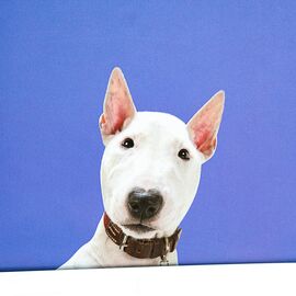 Набор коробок "Преданность" 3 шт, изображение 2 ᐒ купить на  ❤ Like7km.com.ua