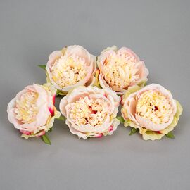 Головка пиона 6 см. *рандомный выбор цвета, изображение 5 ᐒ купить на  ❤ Like7km.com.ua