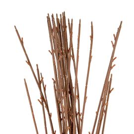 Флористическая основа "Ветка", 98 см, изображение 2 ᐒ купить на  ❤ Like7km.com.ua