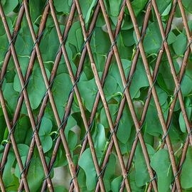 Декоративная панель из искусственной зелени и лозы "Плющ", 37,5*120 см, изображение 5 ᐒ купить на  ❤ Like7km.com.ua